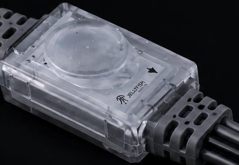 A single JellyFish light node with its four-wire connection